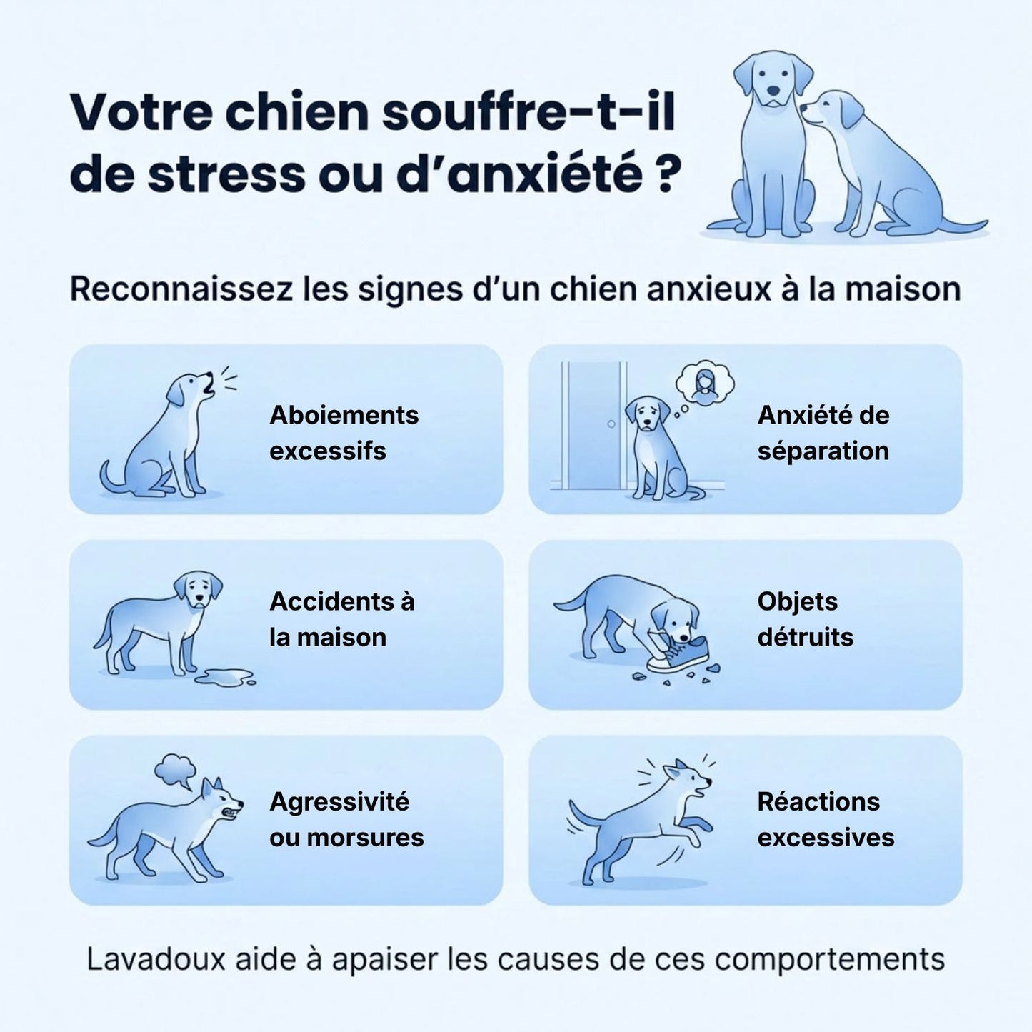 Lavadoux® – Diffuseur Apaisant pour Chiens