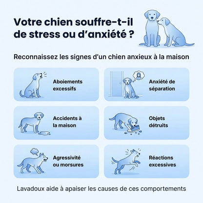 Lavadoux® – Diffuseur Apaisant pour Chiens