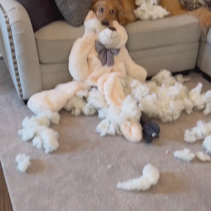 Phéro-Calm® — Diffuseur Anti-Anxiété pour Chiens